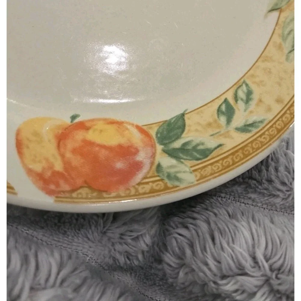 Gibson Everyday Fruita Stoneware Salad Dessert Plate 7